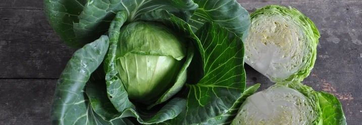 Grünkohl und Grünkohlhälften